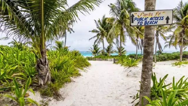 El Santa Fe Beach Club fue asegurado por daños a la biodiversidad y al medio ambiente en Tulum