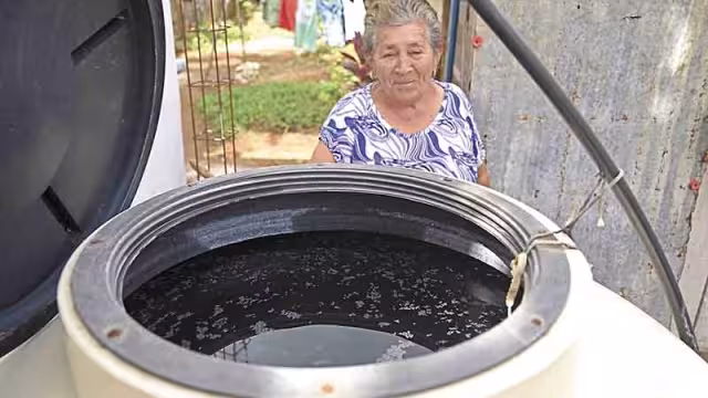 Foto: Martín Zetina