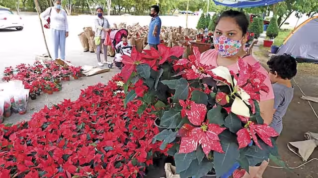 Foto: Martín Zetina