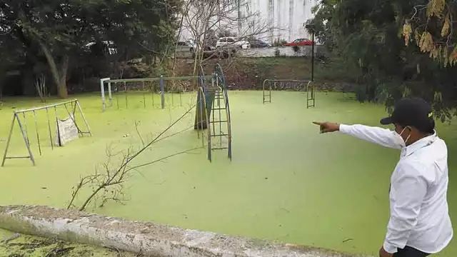 Reportaron que las autoridades no les han dado mantenimiento desde hace meses.