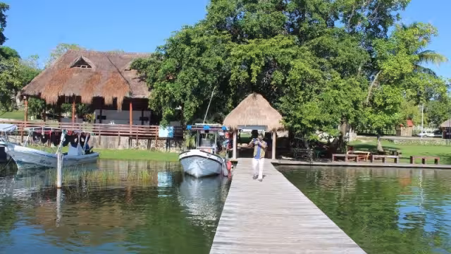 Laguna de Bacalar luce de color verde por la eutrofización, según expertos