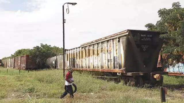 Tren Maya elevado es factible, asegura investigadora de la UADY