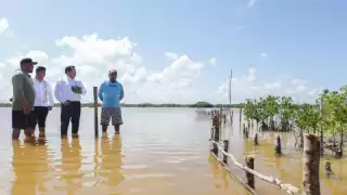 Gobierno de Yucatán invertirá 22 mdp en la recuperación de los ecosistemas costeros