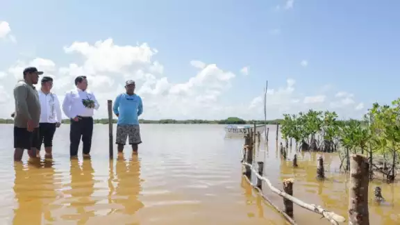 Yucatán lanza estrategia integral para restaurar ecosistemas costeros Yucatán lanza estrategia integral para restaurar ecosistemas costeros