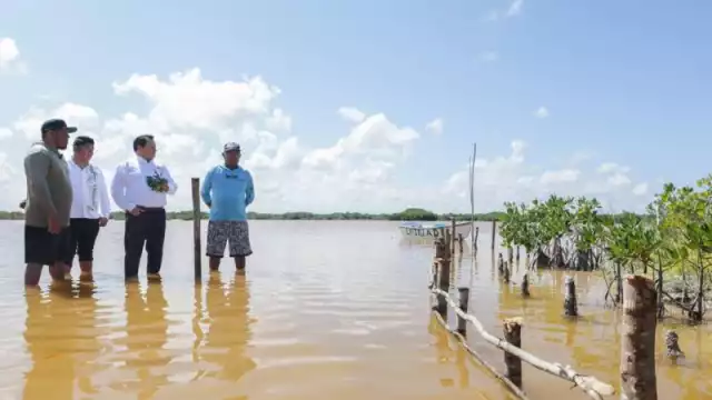 Yucatán lanza estrategia integral para restaurar ecosistemas costeros