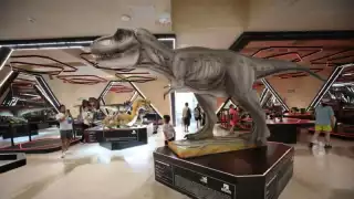 Museo del Meteorito de Progreso celebrará su tercer aniversario con  ferias infantiles, espectáculos artísticos y más