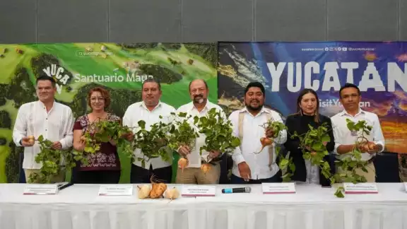 Presentan la sexta edición del Festival de la Jícama, una iniciativa respaldada por el Gobierno estatal
