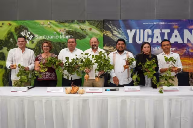 Presentan la sexta edición del Festival de la Jícama, una iniciativa respaldada por el Gobierno estatal