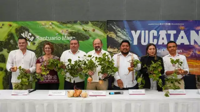 Presentan la sexta edición del Festival de la Jícama, una iniciativa respaldada por el Gobierno estatal