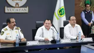 Joaquín Díaz Mena condena los casos de crueldad animal en Yucatán; pide a la FGE y SSP darle seguimiento a las denuncias