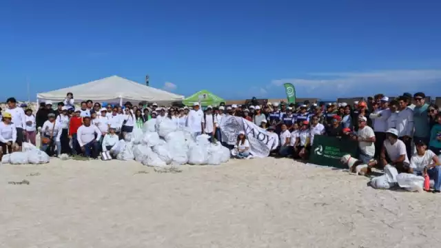 Durante la jornada realizada en 14 playas de 10 municipios de Yucatán