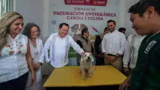 Inicia en Yucatán la  Semana Nacional de Vacunación Antirrábica Canina y Felina 2025; prevén aplicar más de 414 mil dosis