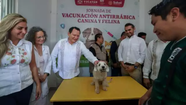 Inicia la Semana Nacional de Vacunación Antirrábica Canina y Felina 2025
