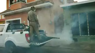 Yucatán registra descenso del 43% en casos de dengue; suman solo 97 contagios