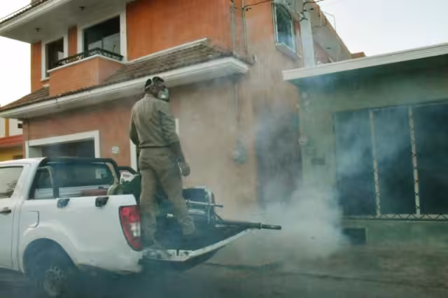 Gobierno del Renacimiento Maya reduce incidencia de dengue en Yucatán