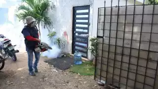 Recomiendan al Sector Salud continuar con los operativos de control del vector, de lo contrario habría un brote epidemiológico