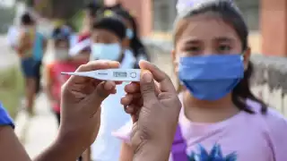 Tras el regreso a clases, suman 125 casos en la comunidad escolar; ninguno de gravedad: SEQ