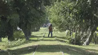 Foto: Cuautémoc Moreno