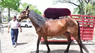 Jardín Zoológico Payo Obispo en Chetumal