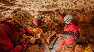 Todos los elementos cerámicos y óseos descubiertos hasta el momento han sido registrados y fueron trasladados al campamento arqueológico de la Zona Arqueológica de Chichén Itzá, para su resguardo