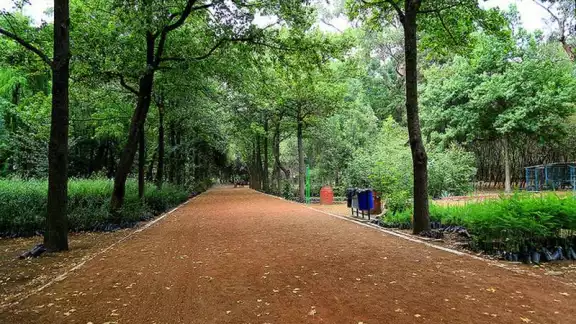 Vecinos reportaron el hallazgo en el cruce de la Avenida Universidad y calle Francisco Sosa, a un costado de los Viveros de Coyoacán Vecinos reportaron el hallazgo en el cruce de la Avenida Universidad y calle Francisco Sosa, a un costado de los Viveros de Coyoacán