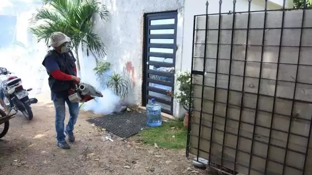 Recomiendan al Sector Salud continuar con los operativos de control del vector, de lo contrario habría un brote epidemiológico