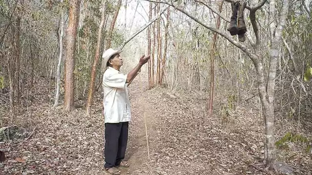 No solo protegen su siembra, además obtienen carne fresca para alimentar a su familia. Foto: Cuautémoc Moreno
