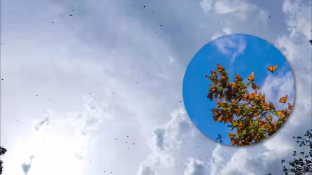 “Esta situación no es usual, es muestra que este año lloverá bastante', aseguró un poblador