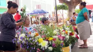 Estas flores sólo crecen dentro de la región yucateca