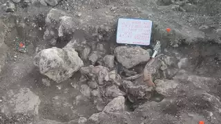 Encuentran 26 vestigios mayas en el tramo 7 del Tren Maya en Campeche  