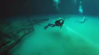 El Cenote Angelita es un lugar perfecto para buzos experimentados