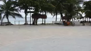 Habitantes de la Costa Maya piden que intervengan las autoridades federales ante esta violación al decreto federal que está cometiendo el empresario