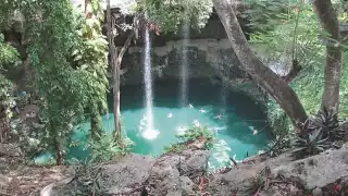 Los cenotes son pozos de gran profundidad que se alimentan por la filtración del agua de las lluvias. Foto: Por Esto!