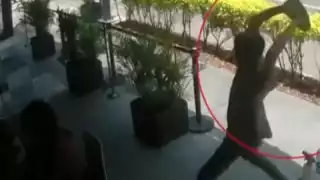 El sujeto golpeó a Andro con una piedra de apróximadamente ocho kilos. Foto: Captura de pantalla