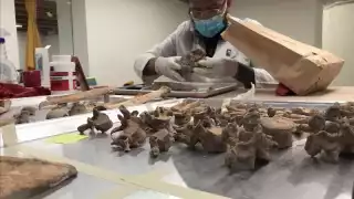 Los restos fueron encontrados frente al panteón de San Fernando, edificado en 1832