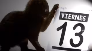 ¿Qué no se debe hacer en un viernes 13?