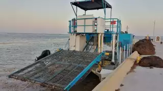 Embarcación sargacera en Mahahual