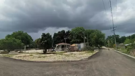 Pese al canto de las cigarras, los campesinos esperan que esta semana caigan lluvias en el municipio, para que puedan sembrar Pese al canto de las cigarras, los campesinos esperan que esta semana caigan lluvias en el municipio, para que puedan sembrar