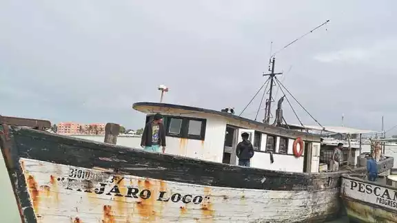 Pescadores esperan pronta apertura de puertos en Progreso Pescadores esperan pronta apertura de puertos en Progreso