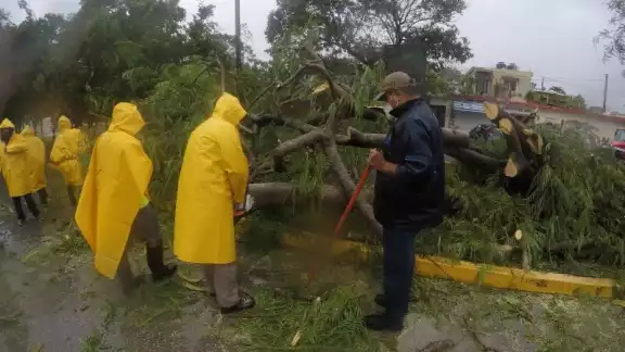 Entre las afectaciones se encuentran 120 árboles caídos e inundaciones menores en varias zonas de Cancún. Foto: Por Esto!