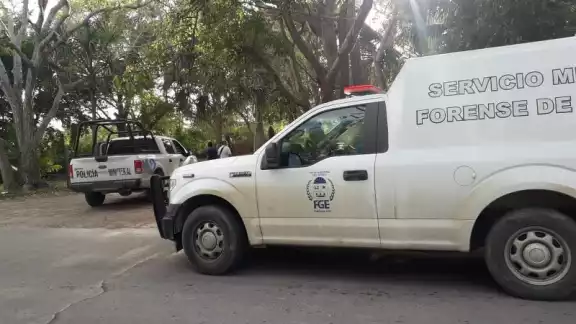 Osamenta hallada en la Zona Arqueológica Oxtankah Osamenta hallada en la Zona Arqueológica Oxtankah