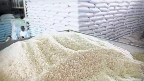 Los productores campechanos puedan sembrar este grano con semillas de mejor calidad y precios de garantía.