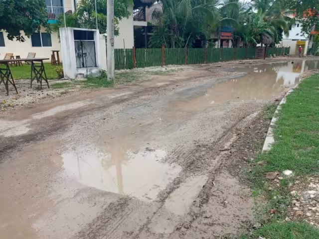 La avenida concentra la mayor cantidad de negocios que generan empleos, y está abandonada