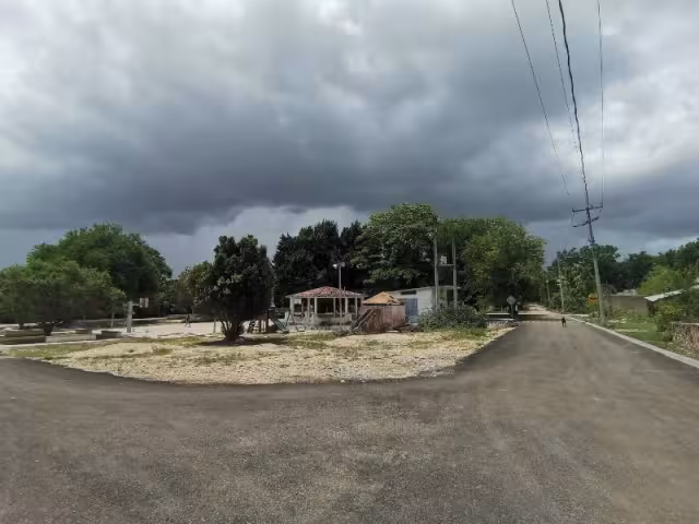 Pese al canto de las cigarras, los campesinos esperan que esta semana caigan lluvias en el municipio, para que puedan sembrar
