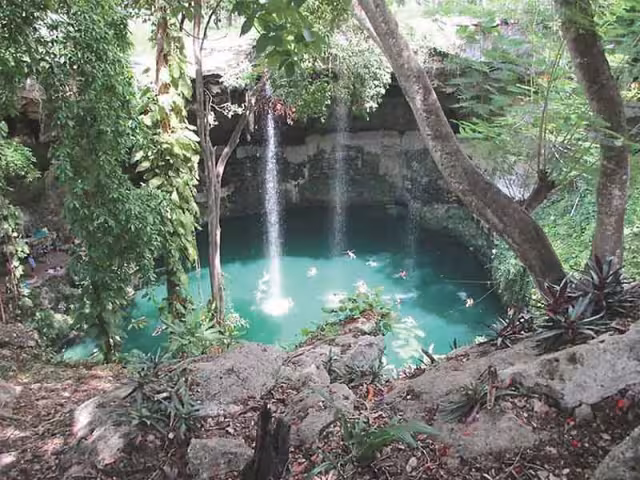 Los cenotes son pozos de gran profundidad que se alimentan por la filtración del agua de las lluvias. Foto: Por Esto!