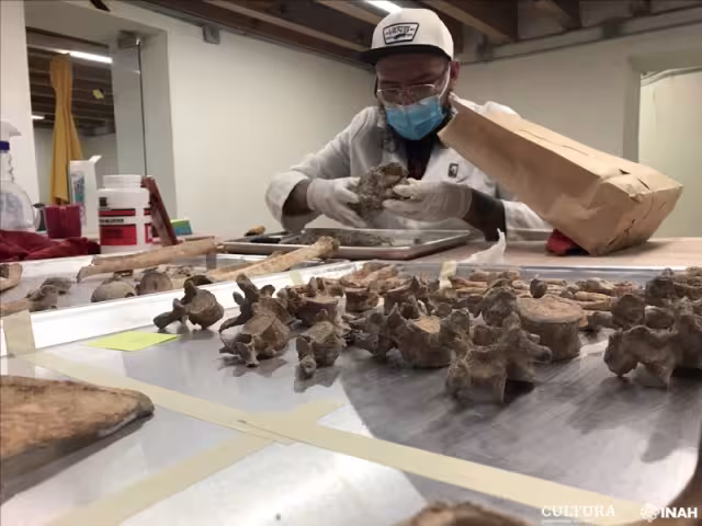 Los restos fueron encontrados frente al panteón de San Fernando, edificado en 1832