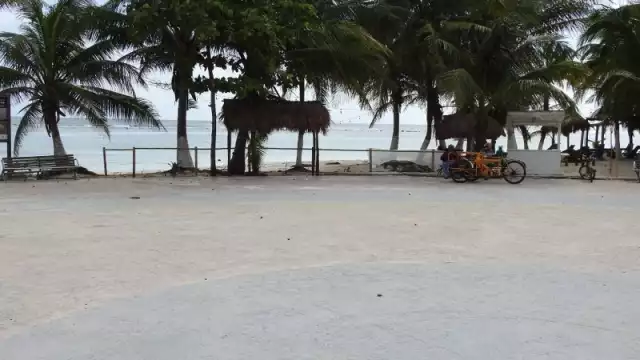 Habitantes de la Costa Maya piden que intervengan las autoridades federales ante esta violación al decreto federal que está cometiendo el empresario