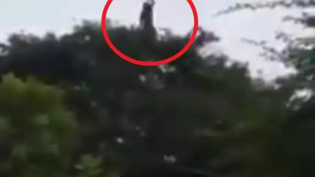 Mientras las fechas de los finados estén cerca durante los primeros días de noviembre, los creyentes recomiendan no salir por nada de casa durante la madrugada