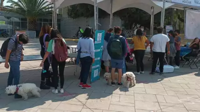 El Can Fest 2022 se realizará en un horario de 09:00 a 17:00 horas, en el Deportivo Hermanos Galeana, ubicado en la colonia San Juan de Aragón, VII Sección