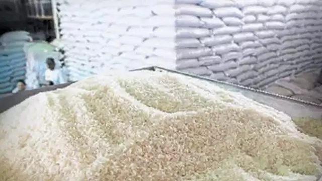 Los productores campechanos puedan sembrar este grano con semillas de mejor calidad y precios de garantía.